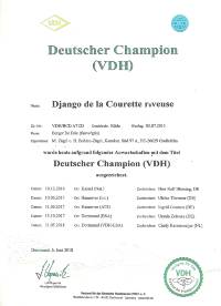 Deutscher-Champion-Bodo